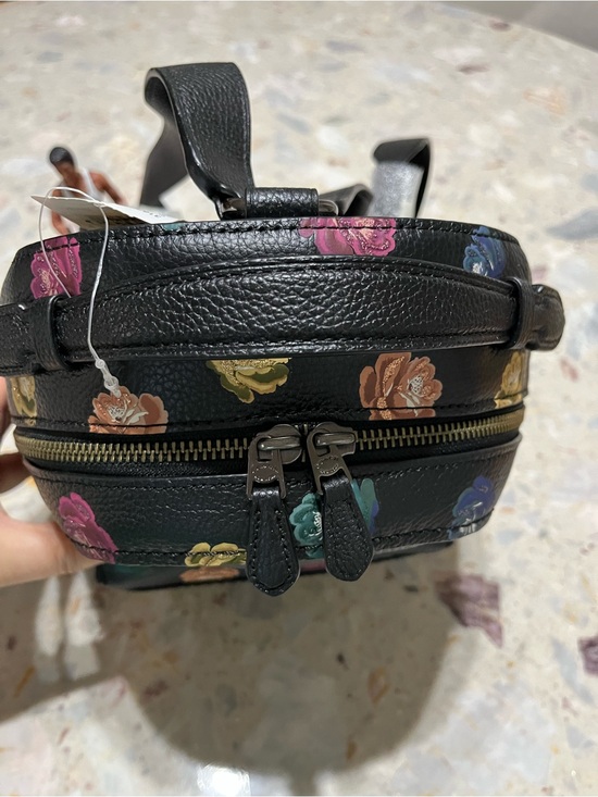 RARE Coach Campus Backpack 23 With Rainbow Rose Print NWT main image 7